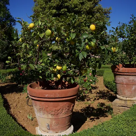 Hotel Scacciapensieri Boutique