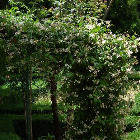 Hotel Scacciapensieri Boutique