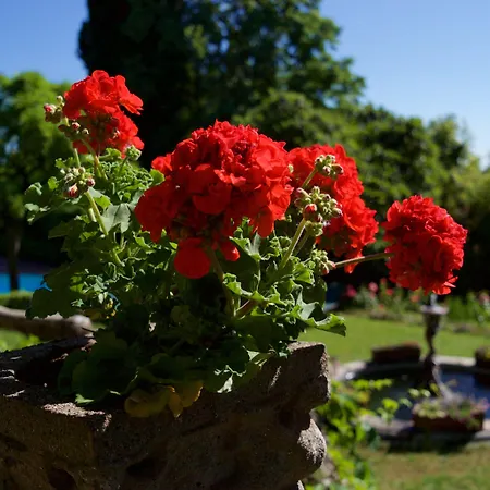 Hotel Scacciapensieri Boutique